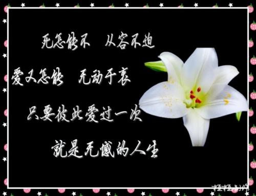 《爱过一次》LRC歌词 《爱过一次》(郭聪明)歌词555uuu下载