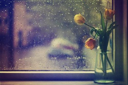 《忽然的雨》LRC歌词 《忽然的雨》(陈洁仪)歌词555uuu下载