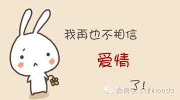 《不相信爱情》LRC歌词 《不相信爱情》(疯哥张)歌词555uuu下载
