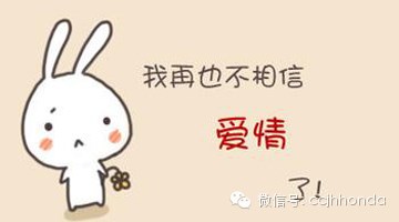 《不相信爱情》(疯哥张)歌词555uuu下载