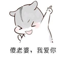 《爱你爱得那么傻》LRC歌词 《爱你爱得那么傻》(晓月)歌词555uuu下载