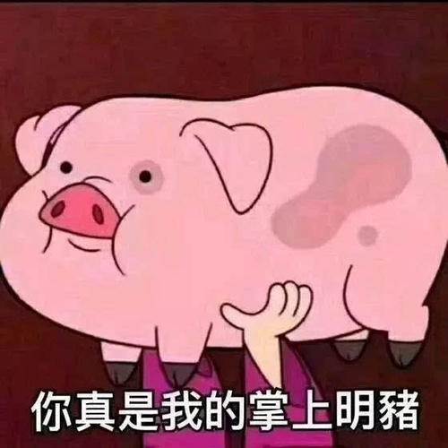 《你是我的猪猪》(李清坡)歌词555uuu下载