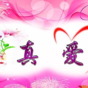 《珍爱真爱》LRC歌词 《珍爱真爱》(梅艳芳)歌词555uuu下载