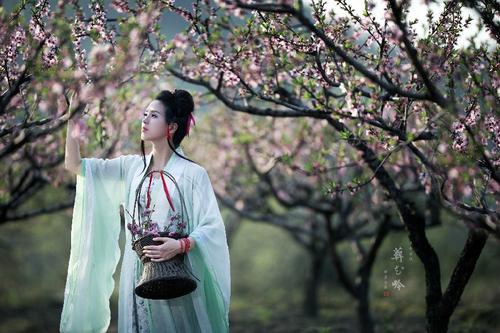 《葬花别》LRC歌词 《葬花别》(陈清海&术娜)歌词555uuu下载