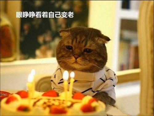 《别祝我生日快乐》LRC歌词 《别祝我生日快乐》(曾轶可)歌词555uuu下载