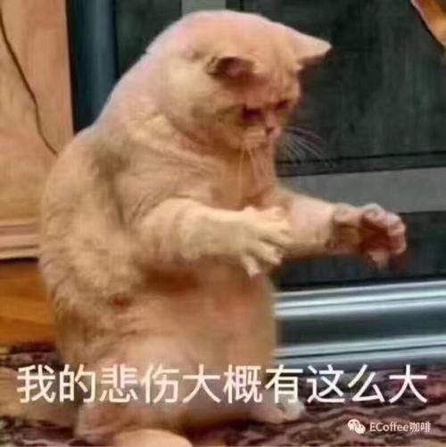 《我沿着悲伤》LRC歌词 《我沿着悲伤》(乔洋)歌词555uuu下载