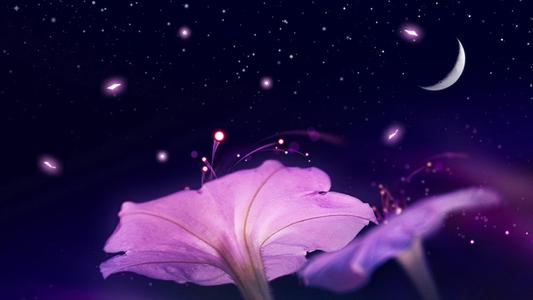 《花好月圆红尘恋》LRC歌词 《花好月圆红尘恋》(天籁天)歌词555uuu下载