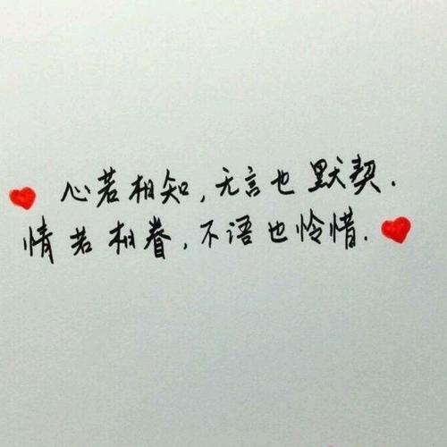 《放不下过去放不下你》LRC歌词 《放不下过去放不下你》(赵真)歌词555uuu下载
