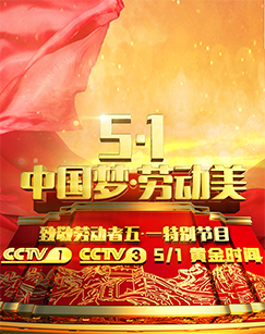 《最炫中国梦》LRC歌词 《最炫中国梦》(阿权)歌词555uuu下载