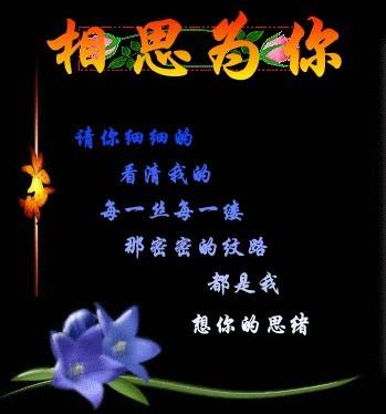 《你是我最牵挂的人》LRC歌词 《你是我最牵挂的人》(张强)歌词555uuu下载