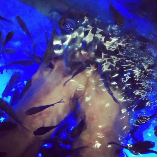 《把自己灌醉》LRC歌词 《把自己灌醉》(陈诗妮)歌词555uuu下载