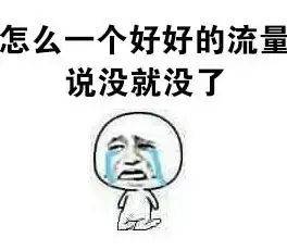 《下次不错过》LRC歌词 《下次不错过》(魏佳艺)歌词555uuu下载