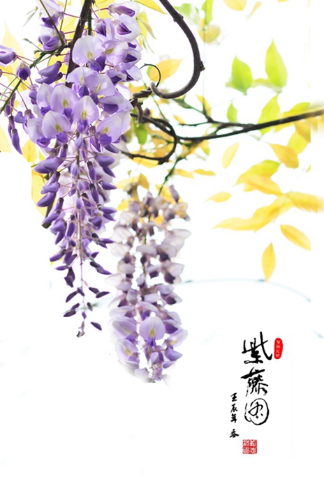《花恋》LRC歌词 《花恋》(雨林精灵)歌词555uuu下载
