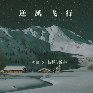 《逆风飞行》LRC歌词 《逆风飞行》(赵传)歌词555uuu下载