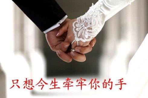 《今生只把你手牵》LRC歌词 《今生只把你手牵》(金久哲)歌词555uuu下载