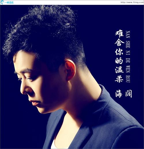 《难舍你的温柔》LRC歌词 《难舍你的温柔》(宋沛江)歌词555uuu下载