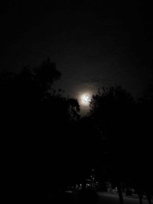 《寂寞的时候是否还会想起我》LRC歌词 《寂寞的时候是否还会想起我》(齐会超)歌词555uuu下载