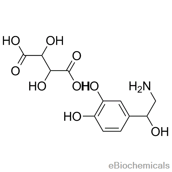《NORADRENALINE》LRC歌词 《NORADRENALINE》(ALTIMA)歌词555uuu下载