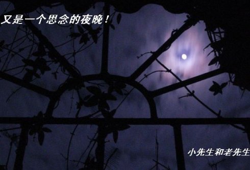《思念如旧》(陈瑞,左拉)歌词555uuu下载