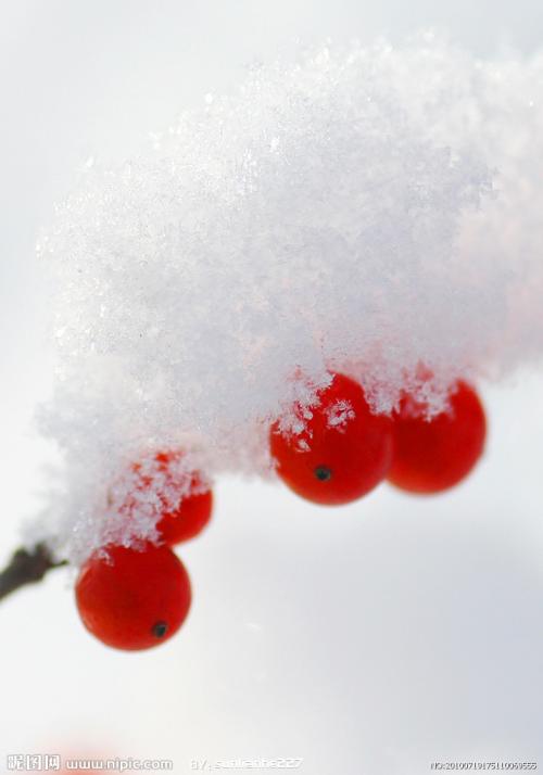 《雪一样晶莹的初恋》(梦然)歌词555uuu下载