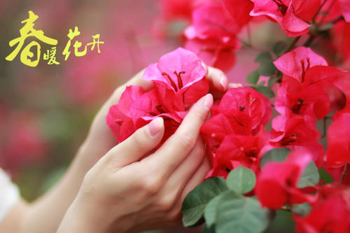 《春暖花儿开》LRC歌词 《春暖花儿开》(曲国庆&张冬玲)歌词555uuu下载