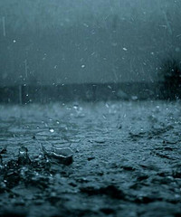 《风吹雨》(曾静玟)歌词555uuu下载
