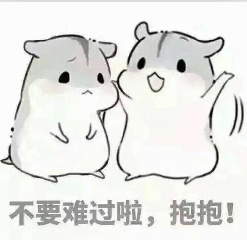 《说好不难过》LRC歌词 《说好不难过》(夏后)歌词555uuu下载