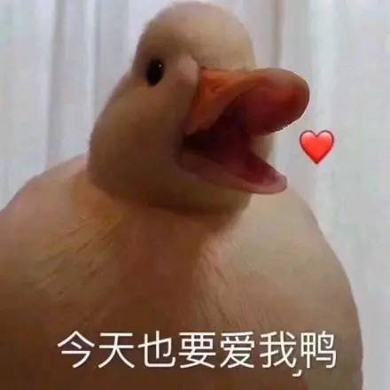 《要爱我》LRC歌词 《要爱我》(成学迅)歌词555uuu下载