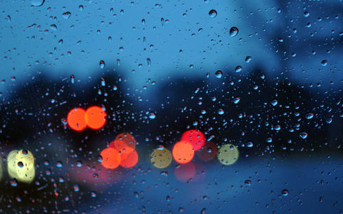 《雨的印记》LRC歌词 《雨的印记》(曾春年)歌词555uuu下载