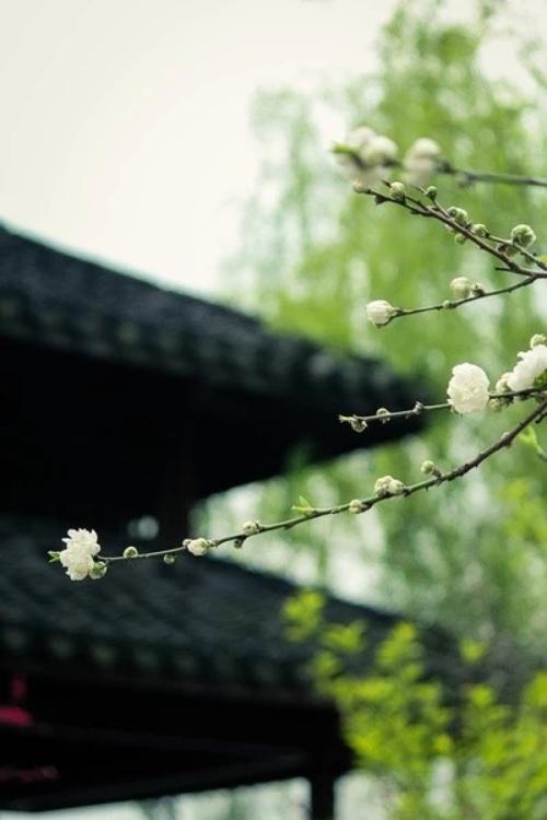 《如梦初醒》LRC歌词 《如梦初醒》(彭羚)歌词555uuu下载