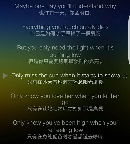 《失去你才懂我爱你》LRC歌词 《失去你才懂我爱你》(秋裤大叔)歌词555uuu下载