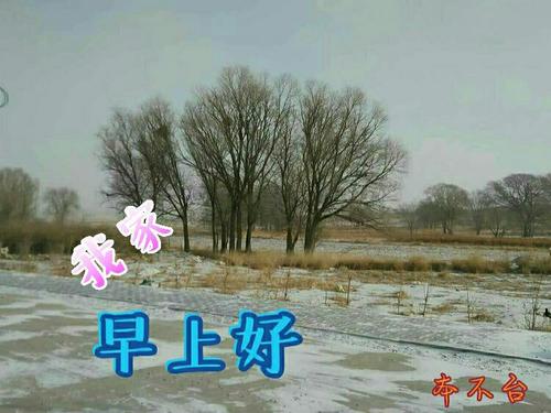 《寻找迷失的故乡》LRC歌词 《寻找迷失的故乡》(丛伟)歌词555uuu下载