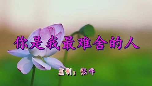 《你是我最难舍的人》(郑莉莉&高安)歌词555uuu下载