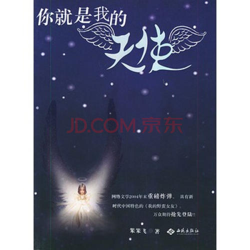 《你就是我的天使》(李志洲)歌词555uuu下载