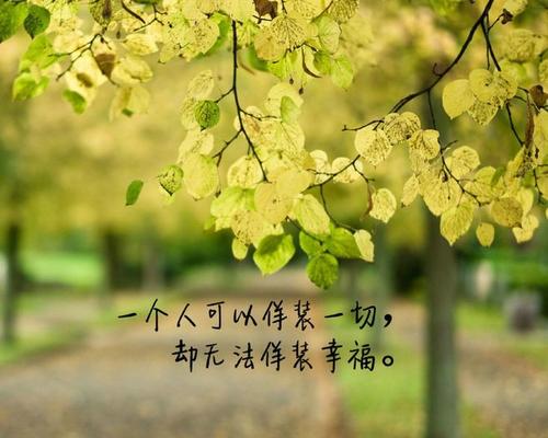 《伪装幸福》(雪无影)歌词555uuu下载