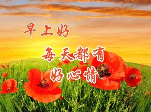 《陪你快乐每一天》LRC歌词 《陪你快乐每一天》(旭佳非)歌词555uuu下载