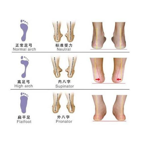 《以后再选择》LRC歌词 《以后再选择》(陈辰)歌词555uuu下载