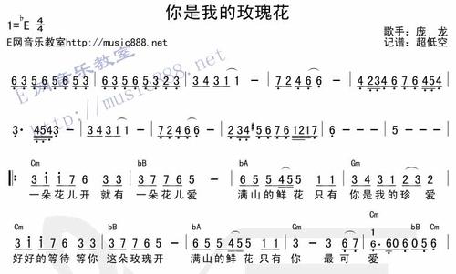 《你是我梦中的玫瑰》(赵华)歌词555uuu下载