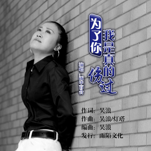 《为了你我真的伤过》LRC歌词 《为了你我真的伤过》(梅朵)歌词555uuu下载