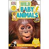 《Wild Baby》LRC歌词 《Wild Baby》(Fairies)歌词555uuu下载