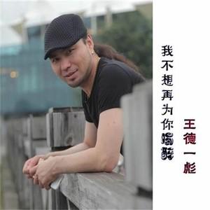 《我不想再为你喝醉》LRC歌词 《我不想再为你喝醉》(王德一彪)歌词555uuu下载