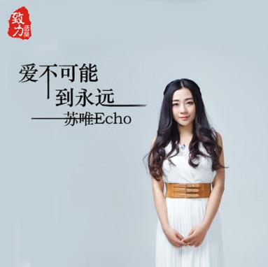 《爱不可能到永远》LRC歌词 《爱不可能到永远》(苏唯)歌词555uuu下载