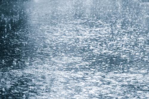 《大雨》LRC歌词 《大雨》(娃娃)歌词555uuu下载