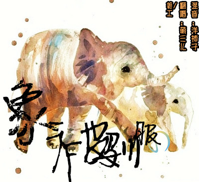 《被驯服的象（Live）》(陈昊宇)歌词555uuu下载