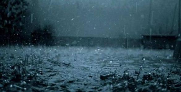 《雨化寂寞》LRC歌词 《雨化寂寞》(张提)歌词555uuu下载