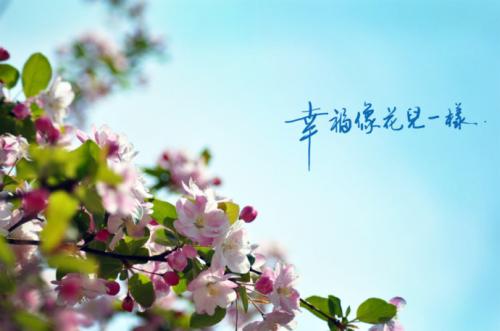 《幸福的花儿》LRC歌词 《幸福的花儿》(孙佳星)歌词555uuu下载