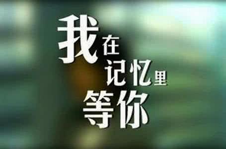 《我已等你好多年》LRC歌词 《我已等你好多年》(陈宛如)歌词555uuu下载