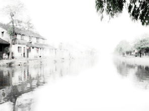 《采薇》LRC歌词 《采薇》(周迅)歌词555uuu下载