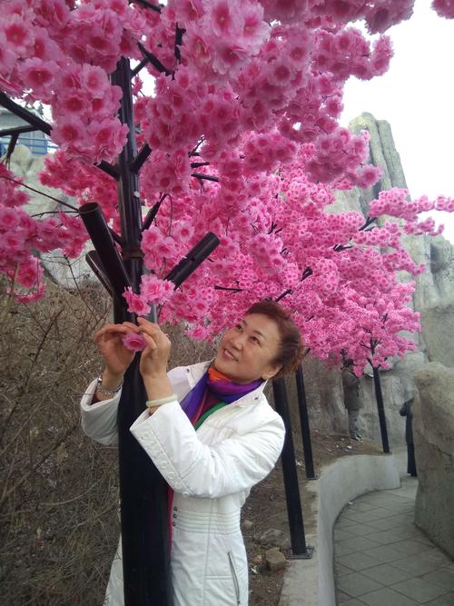 《相遇美丽的前杜》LRC歌词 《相遇美丽的前杜》(云菲菲)歌词555uuu下载