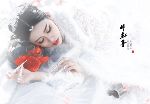 《醉红尘》LRC歌词 《醉红尘》(张少斌)歌词555uuu下载